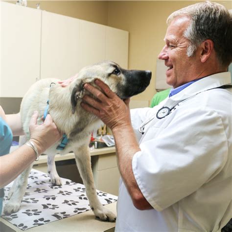 Willow run vet - Our passionate goal is to reflect Christ's love by providing families with compassionate, progressive, and outstanding veterinary medicine in celebration of...